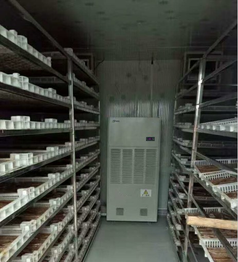 烘干除濕機