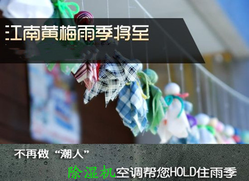快速清除潮氣用除濕機