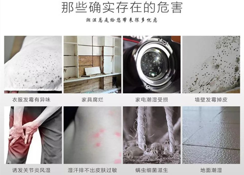 快速除濕氣用除濕機