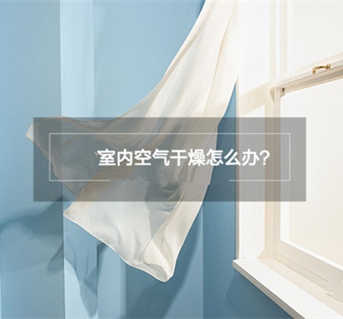 室內(nèi)干燥怎么辦？