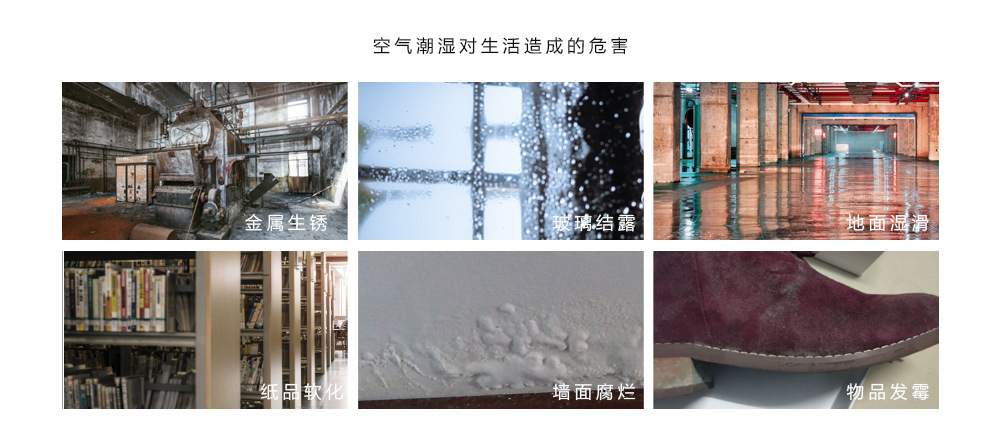 除濕新風機