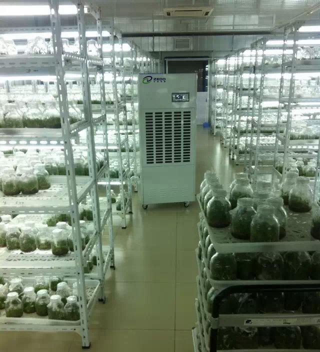 塑料大棚除濕機