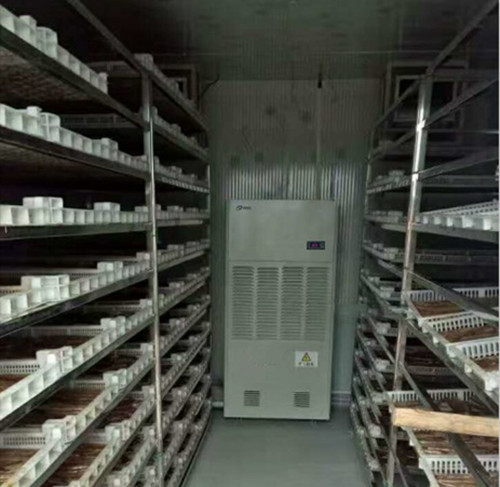 蜜棗烘干除濕機