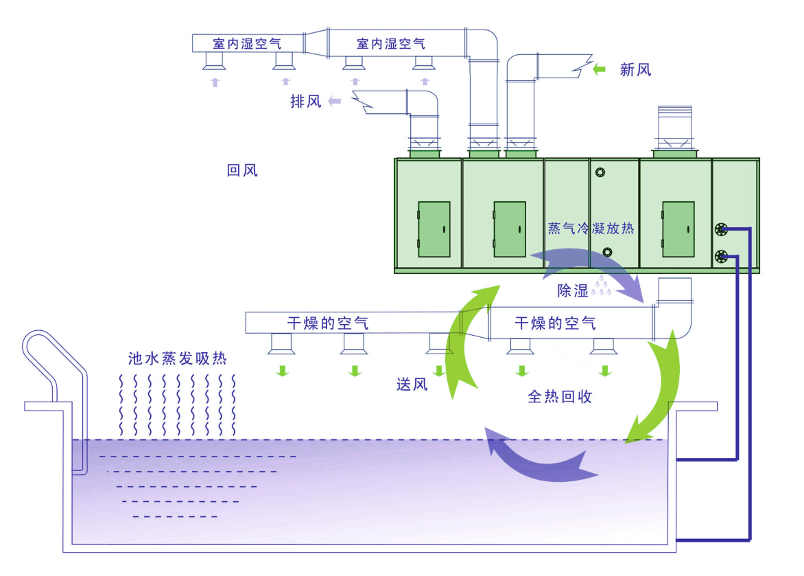 泳池專用熱泵除濕機