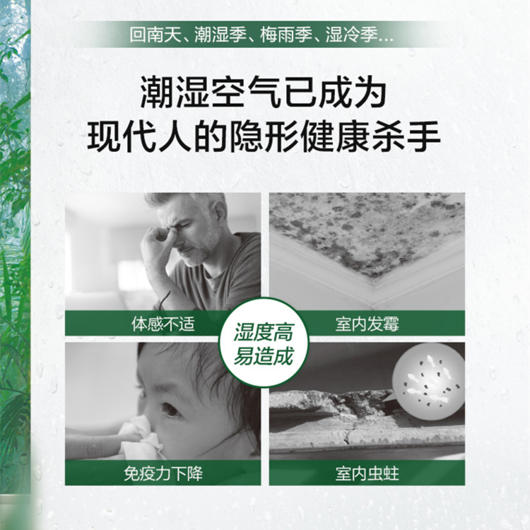 除濕新風機 除濕新風機