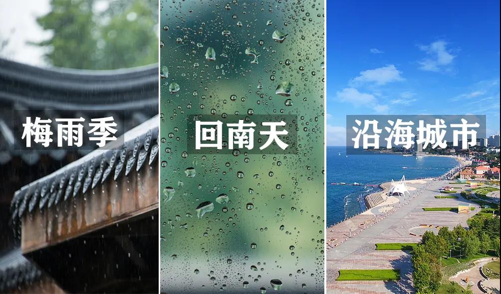 智能除濕機 智能除濕機