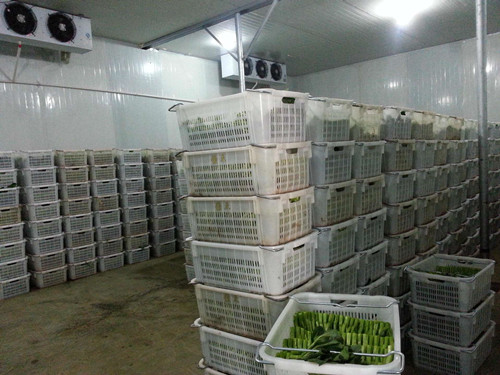 蔬菜保鮮庫保濕機.jpg 蔬菜保鮮庫保濕機.jpg